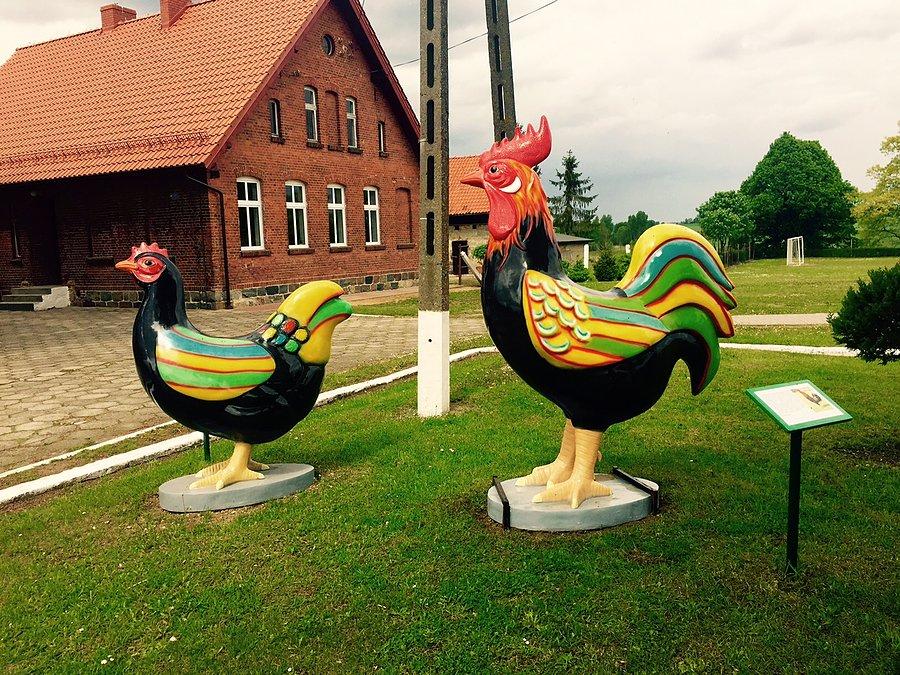 W liniwie udowodnili, ze pierwsza była kura z kogutem
