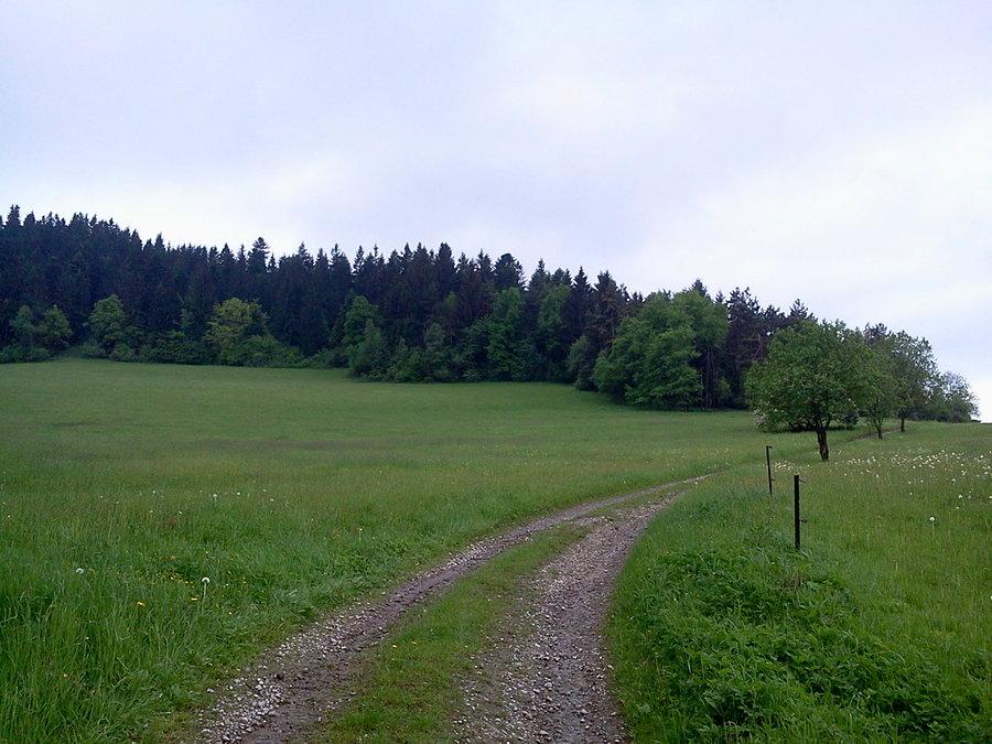 Pod Studenicznym