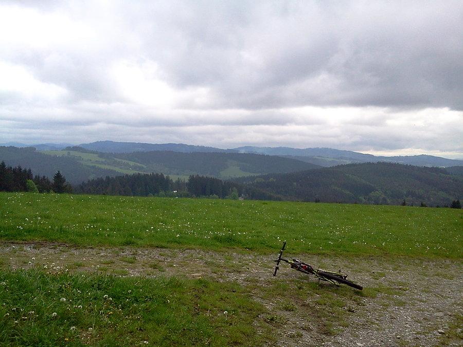 Pod Zapowiedzią