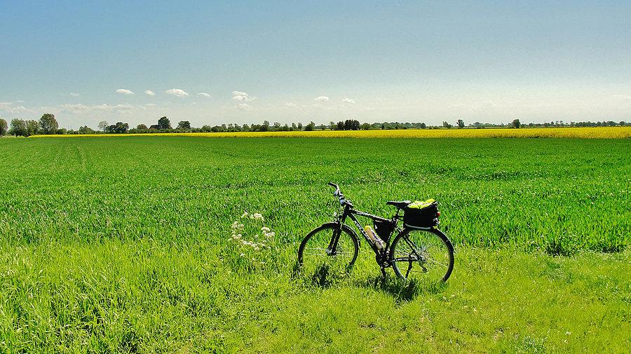 Wycieczka do Stegny. Krajobraz Żuław