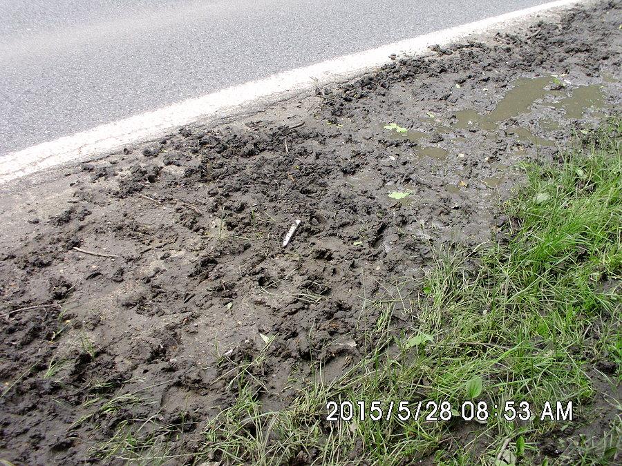 Zwierzyna zaznaczyła swoją obecność (przy drodze do Czułowa)