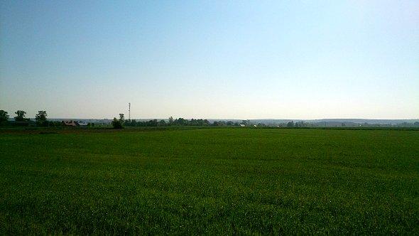 Widok na zielone pola w Osmolicach