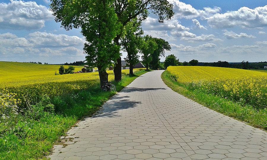 Okolice Tczewa. Krajobraz Kociewia