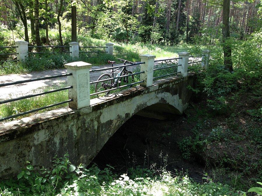 Widok mostu