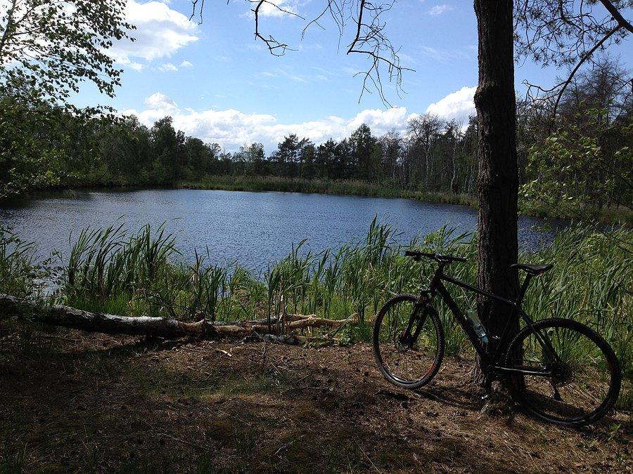 Rezerwat Bagno Chlebowo - torfianki
