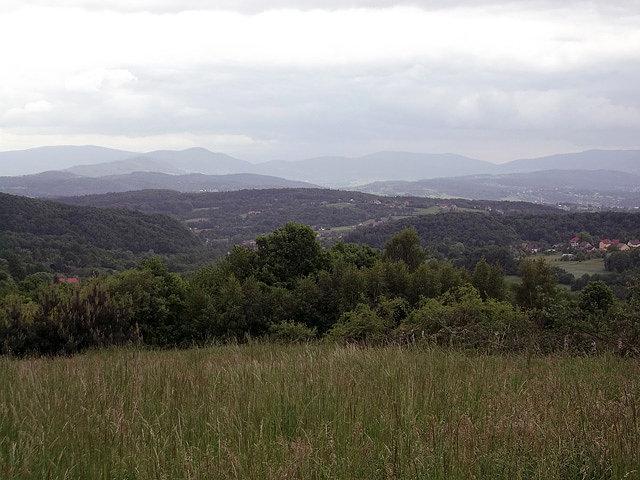 Widoczek z Biskupic