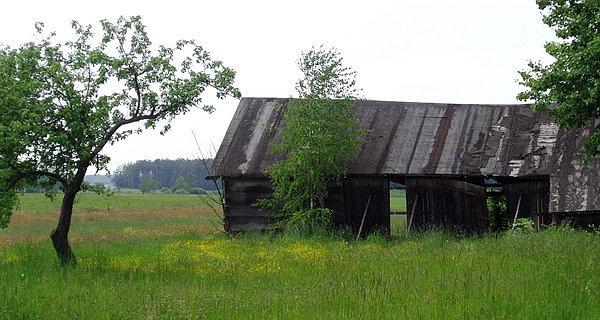Stara drewniana stodoła w Woli Dybowskiej