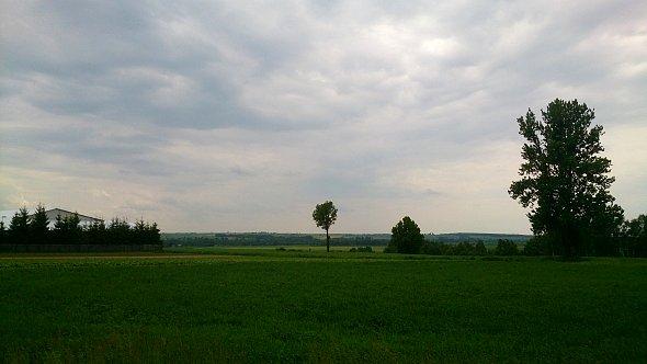 Widok na pola koło Krzczonowa II