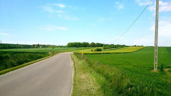Kręta droga w Krzczonowskim Parku Krajobrazowym
