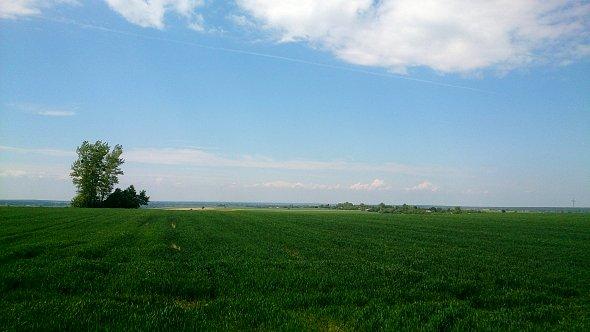 Widok na pola koło Chmiela