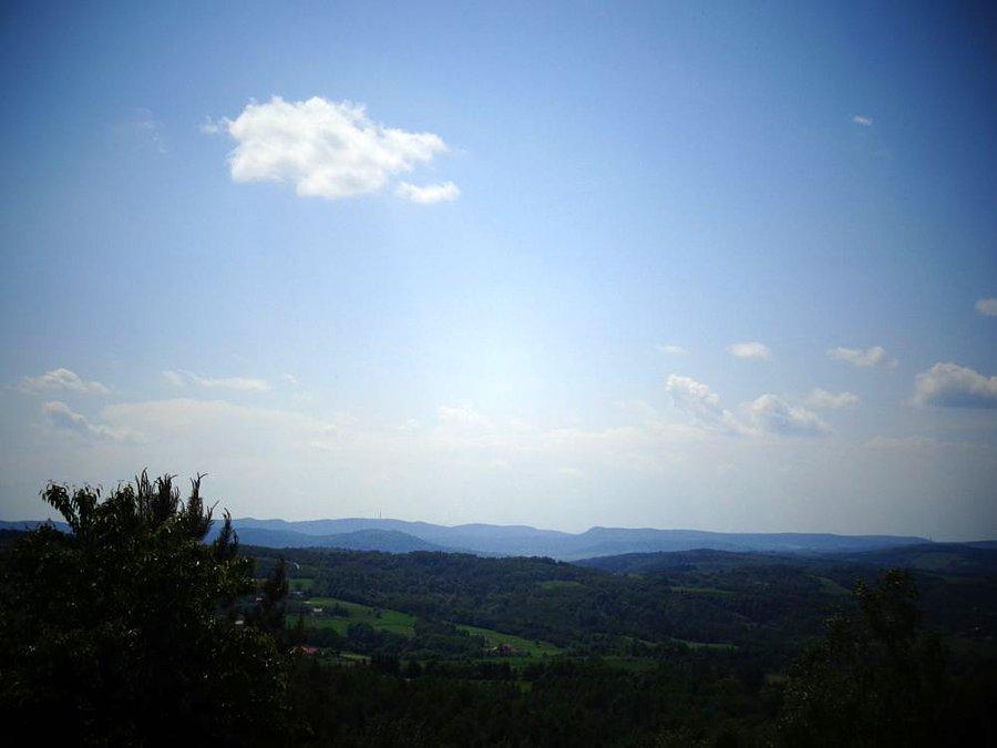 Widok na zoomie