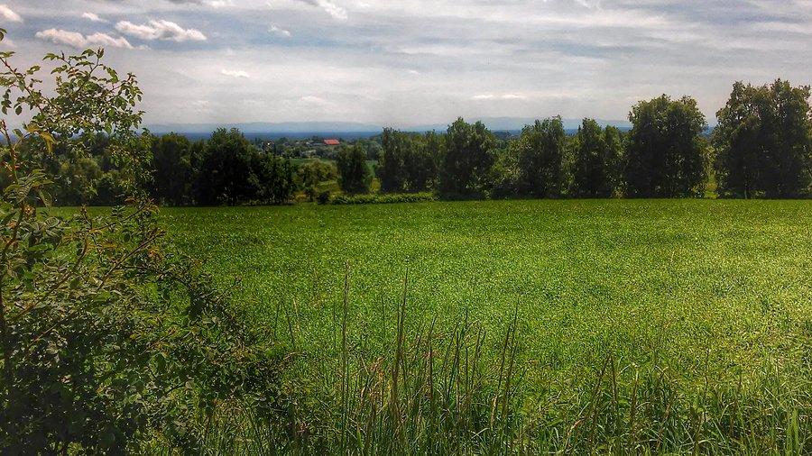 Na dokładkę pogoda dopisała