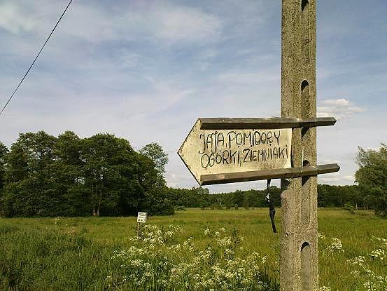 Reklama dźwignią handlu