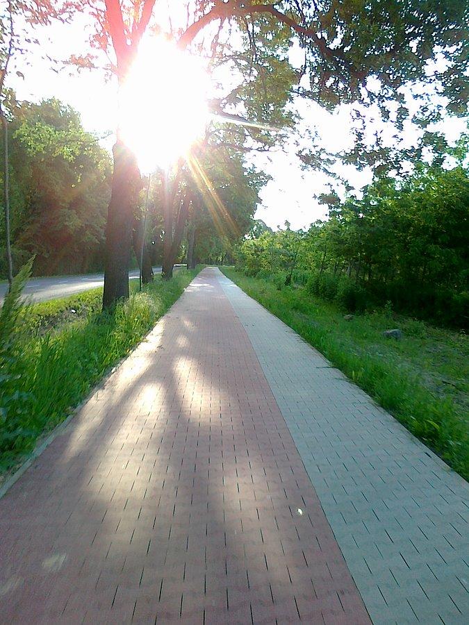 Piękny słoneczny dzień