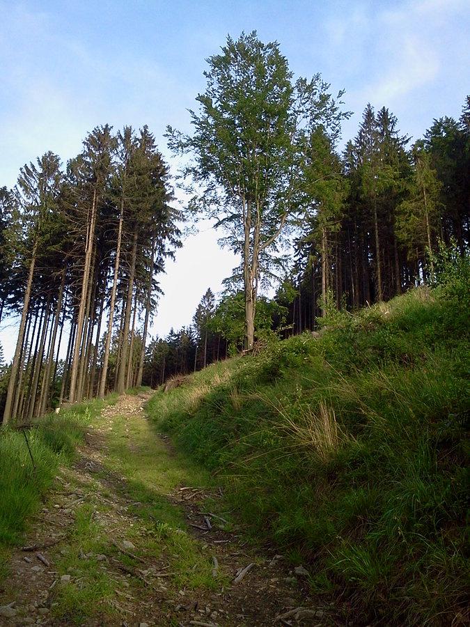 Podjazd
