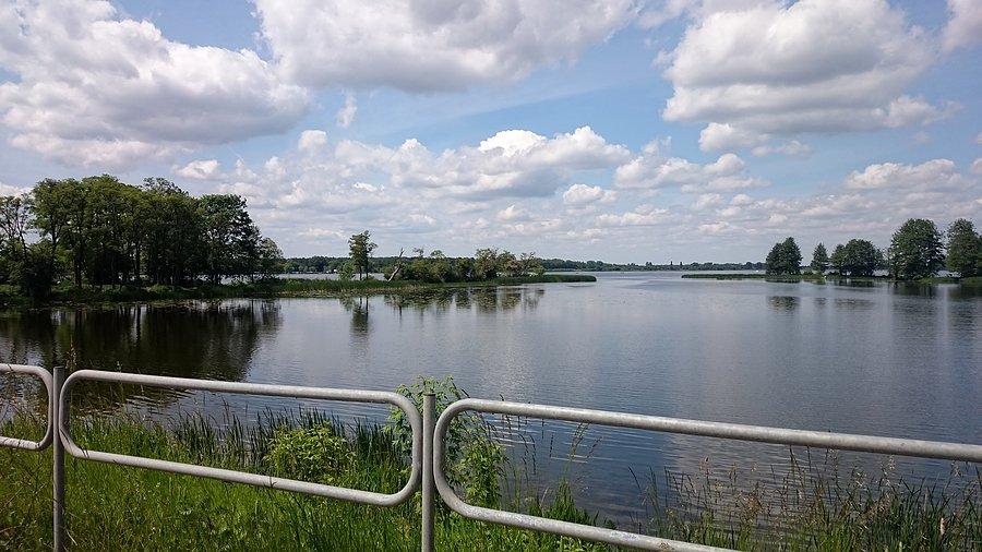 Widok na Narew