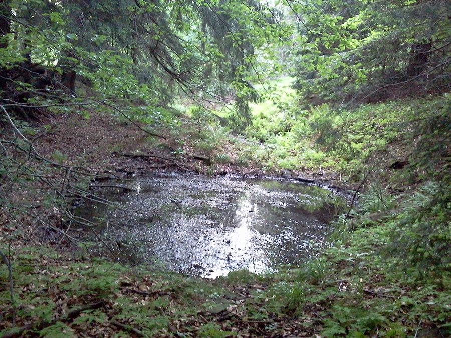 Niewielki stawek