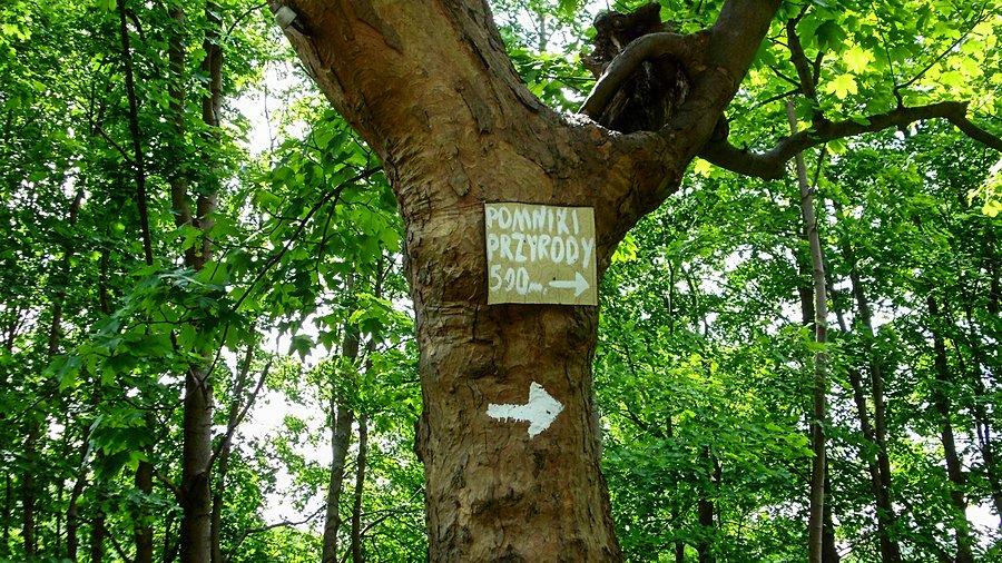 Tabliczka na którą pierwszy raz zwróciłem uwagę