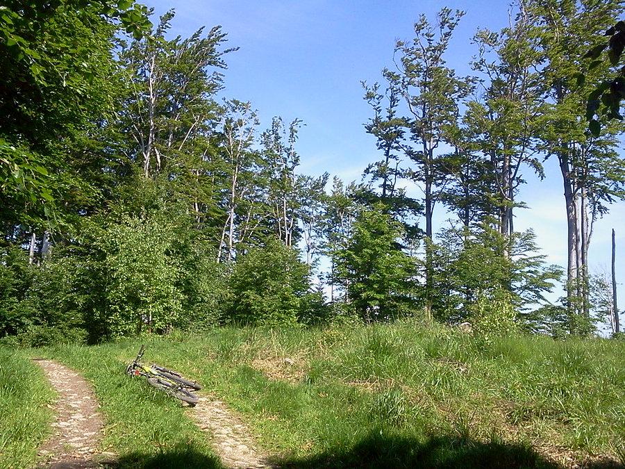 Gutski vrsek