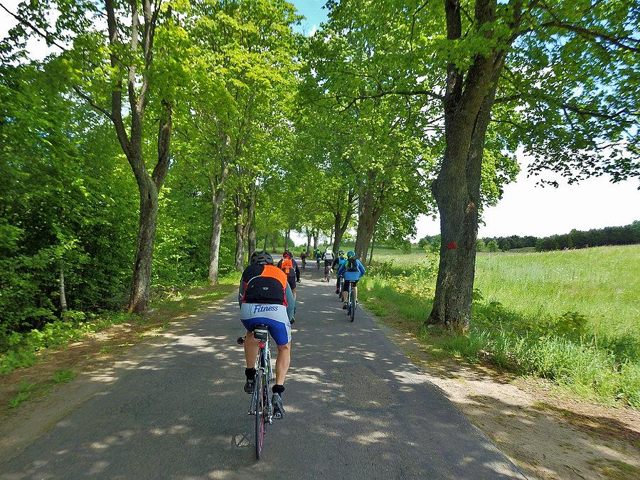Maraton rowerowy, KaszebeRunda - Kościerzyna 2015 r