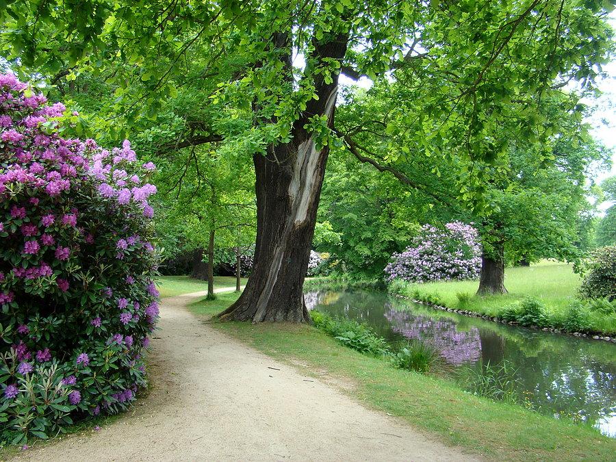 Park Mużakowski - Ogród Pański z rododendronami
