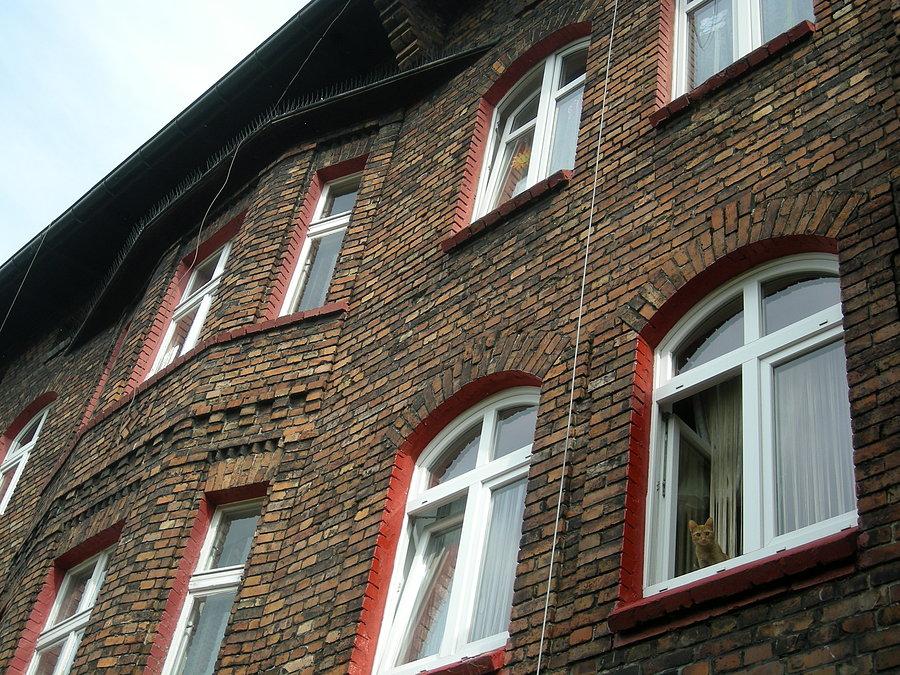 Nikiszowiec - kici, kici