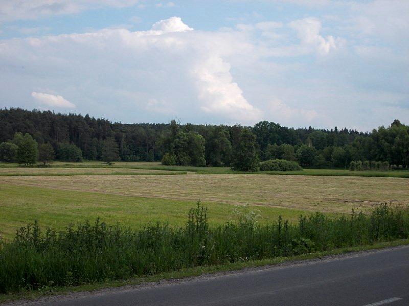 Okolice Strzyżewic