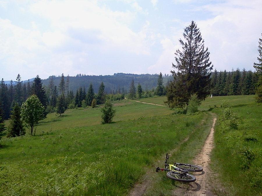 Przyjemna ścieżka po groniach