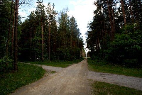 Na skrzyżowaniu dróg