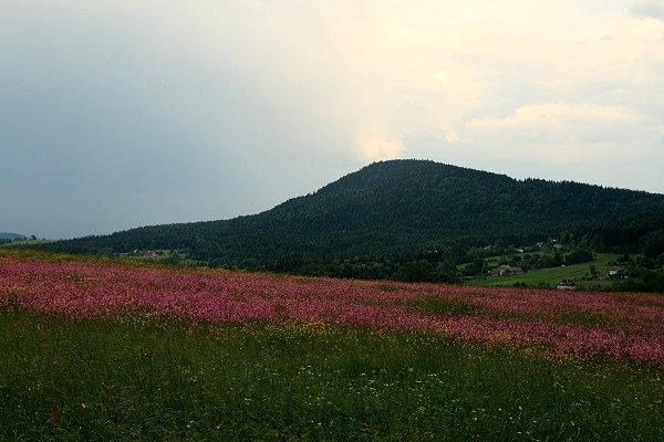 Rosochatka