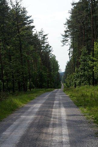 Czemu jeszcze tym szuterkiem nie jechałam? piękny jest, pod górę i z góry :)