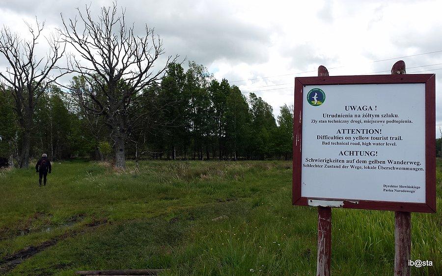 Kluki ... i niespodziewana zmiana kierunku
