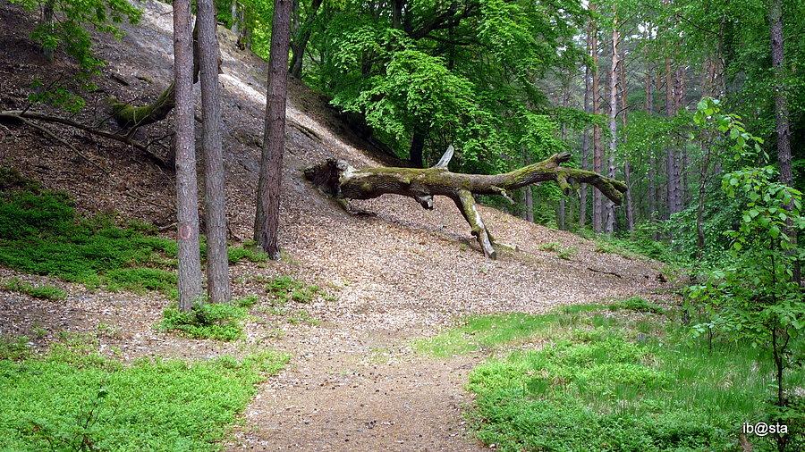 Białogóra - rezerwat