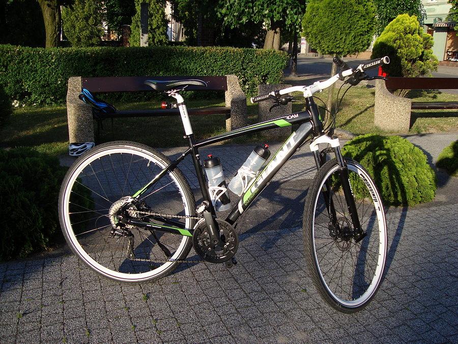 Giant w Raszkowie