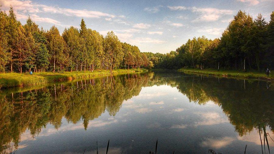 Piękny jest ten staw w pobliży Halemby