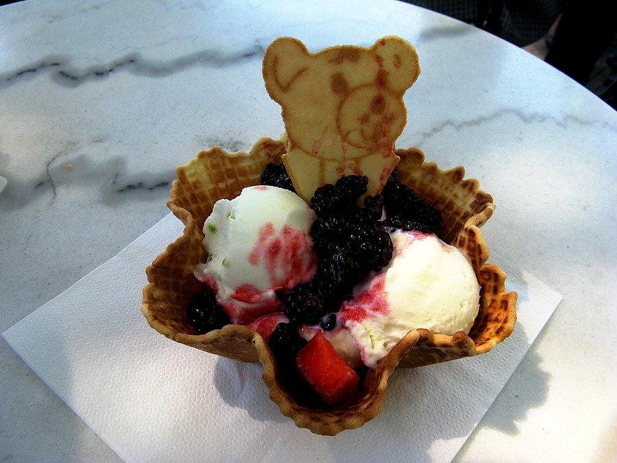 Lody w Puszczykowie