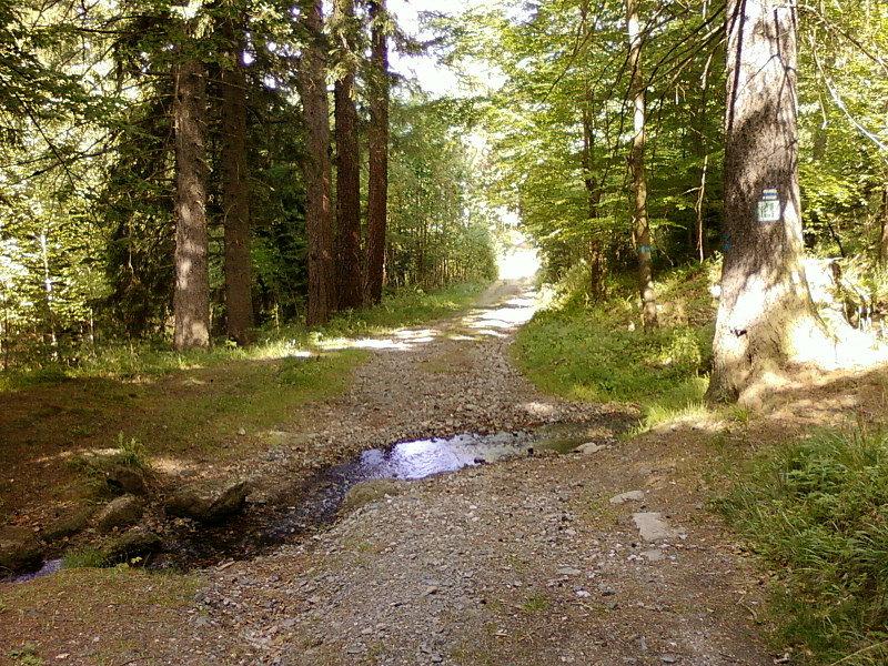 Międzynarodowy Szlak Rowerowy Liczyrzepa