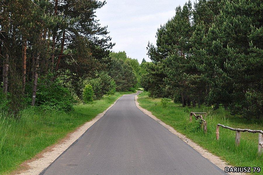 Droga rowerowa między Źarkami a Mirowem i Bobolicami