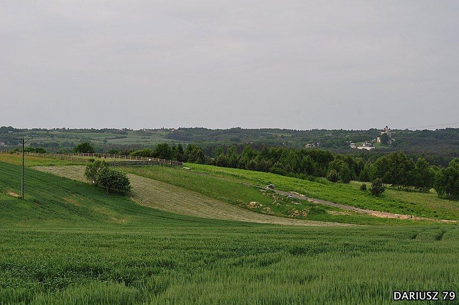 Widok z Ogorzelnika na Jure Krk-Cze