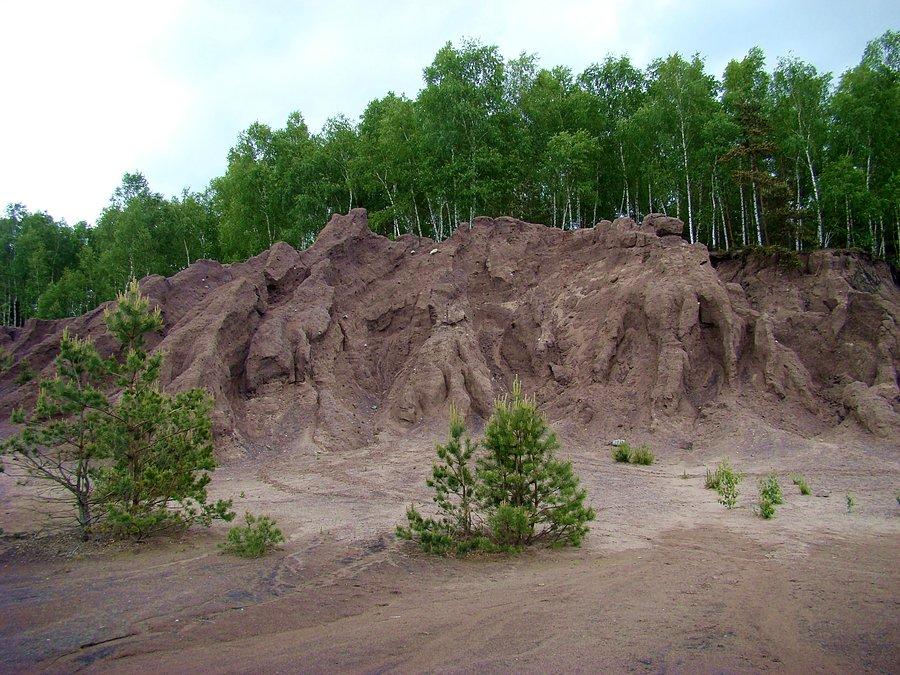 Fantazyjne formy erozyjne w hałdach nadkładu nad brzegami zbiornika pokopalnianego Afryka na terenie dawnej kopalni Babina