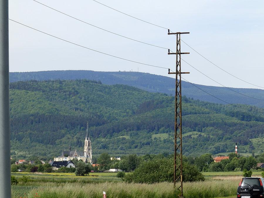 Wielka Sowa z Dzierżoniowa