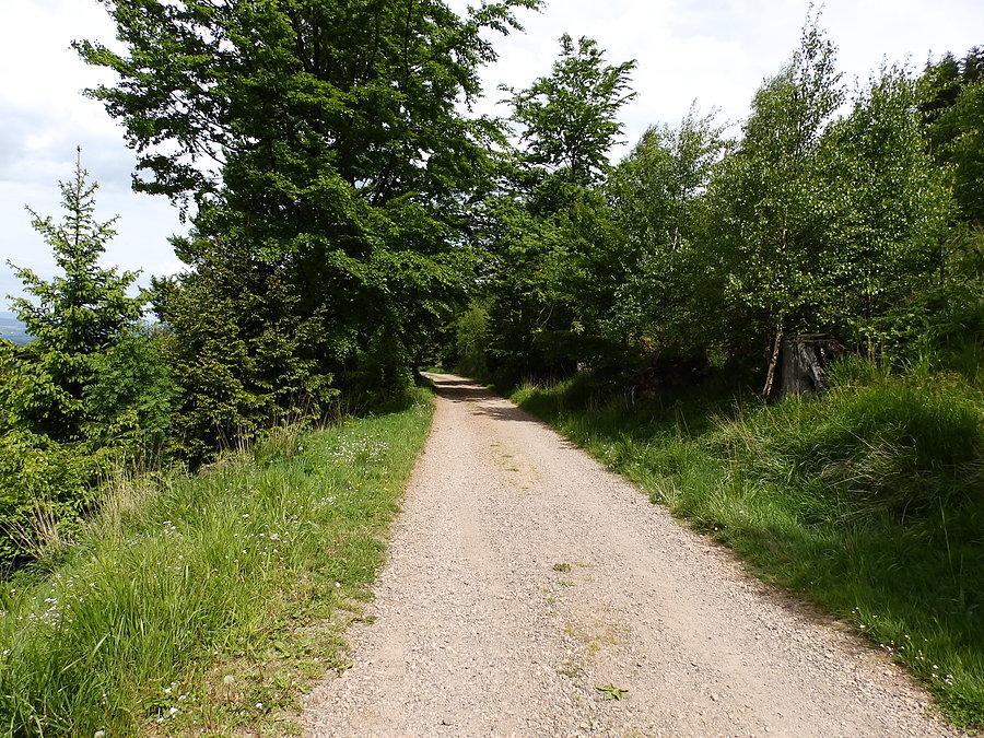 Fioletowy szlak