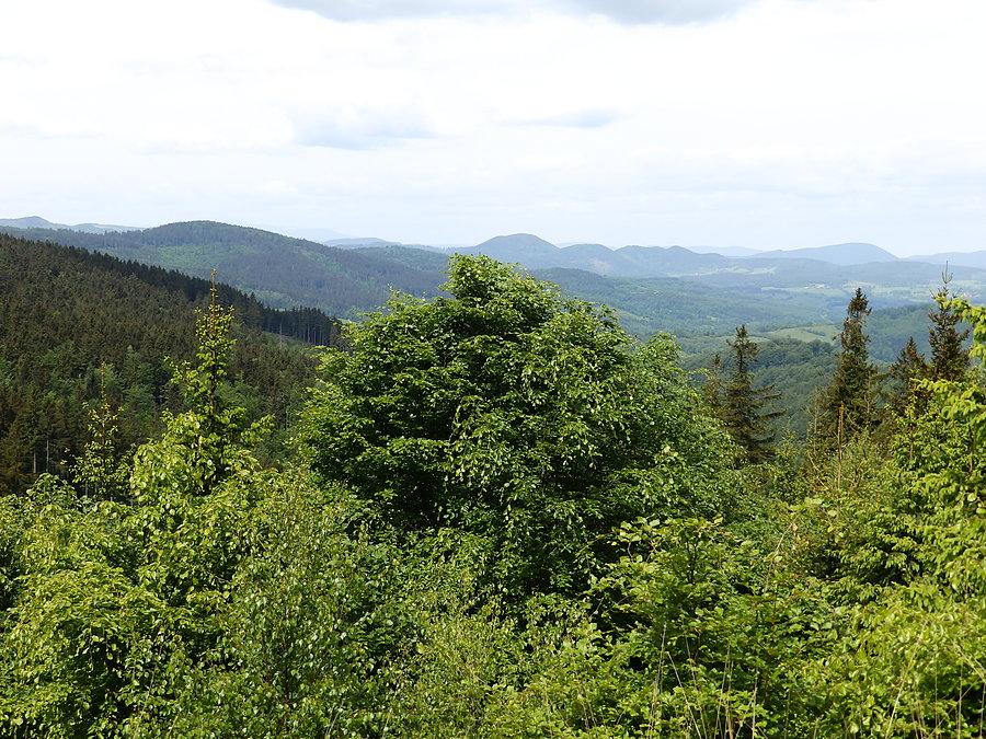Widoki w kierunku północno zachodnim