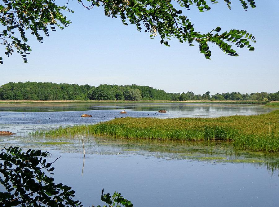 Jaskółczy Staw