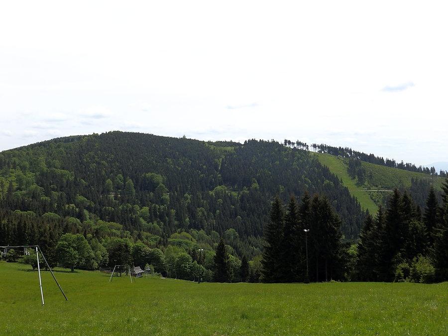 Widok na zbocza Rymarza