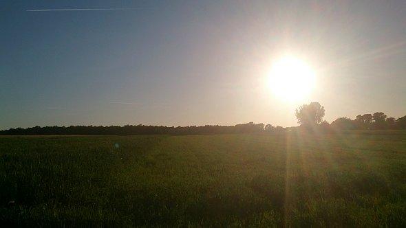 Słońce nad polami