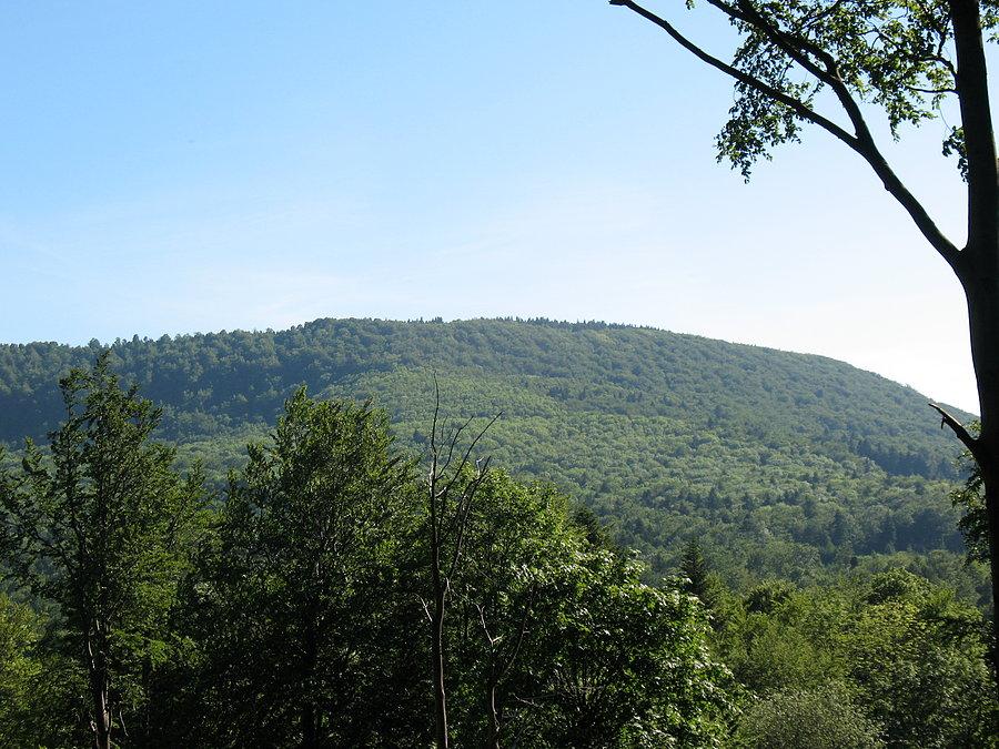 Jaworzyna Konieczniańska (881 m.n.p.m) już po zjeździe