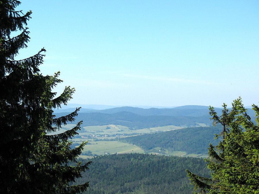 Widok z przecinki
