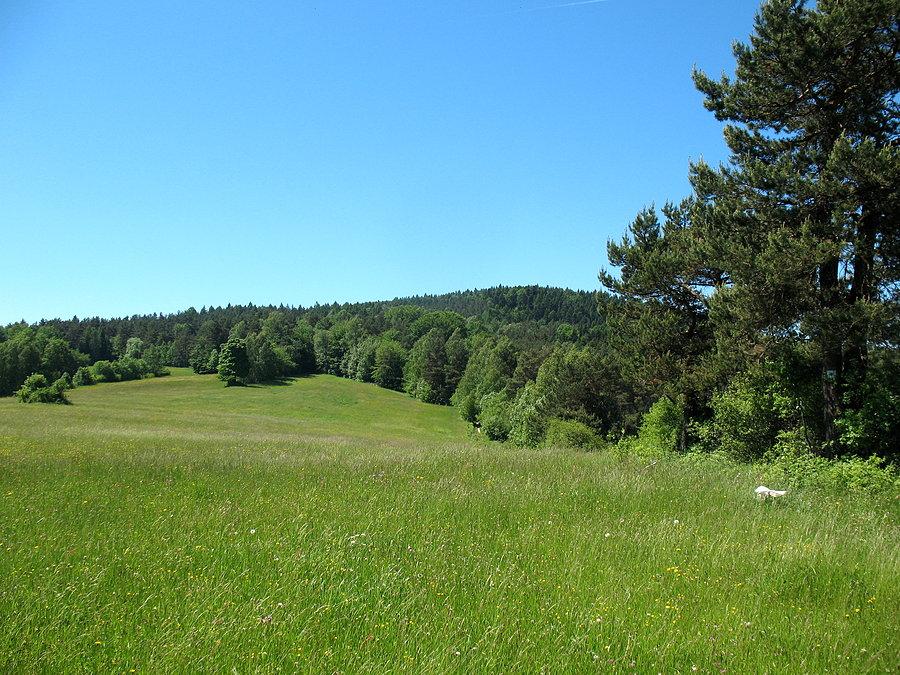 Rotunda (771 m.n.p.m) od łagodnej strony