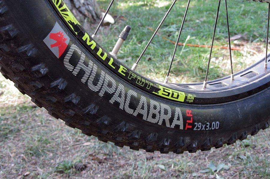 Fatbike